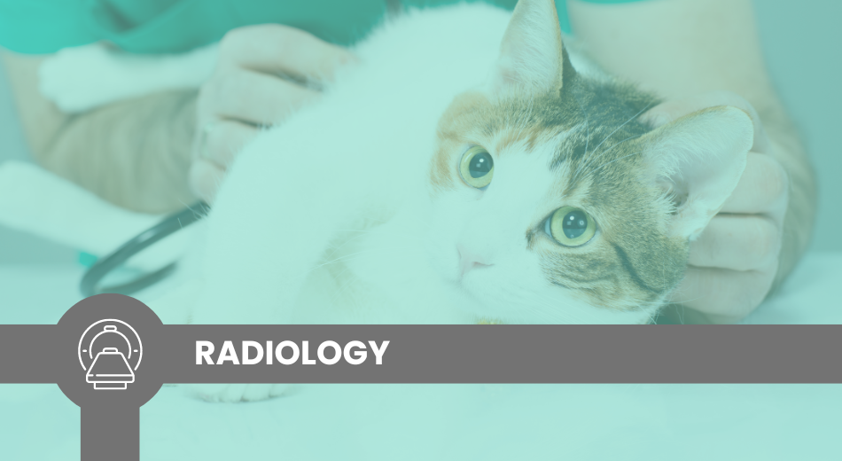 Foundations of Thoracic Radiology Obi Veterinary Education