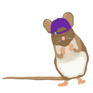 A cartoon mouse wearing a hat