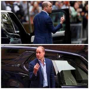 prince william perspective