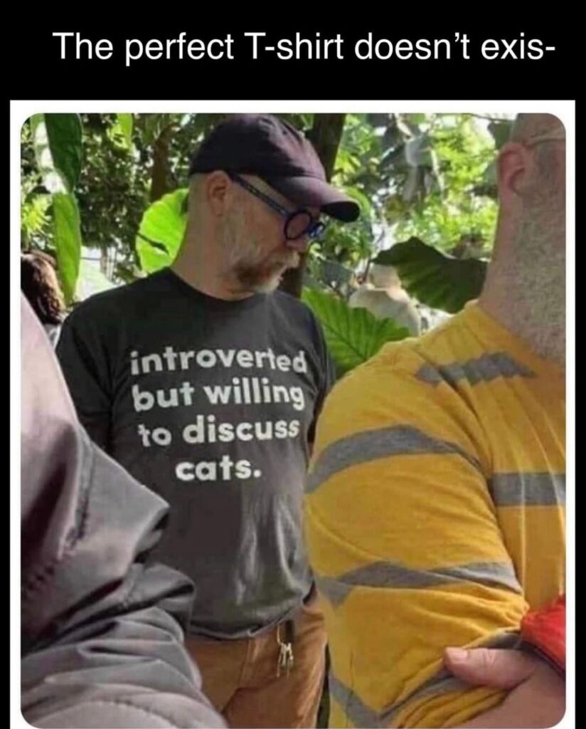 meme that says "the perfect t-shirt does not ex... and then a picture of a man with a shirt reading 'introverted but willing to discuss cats'"