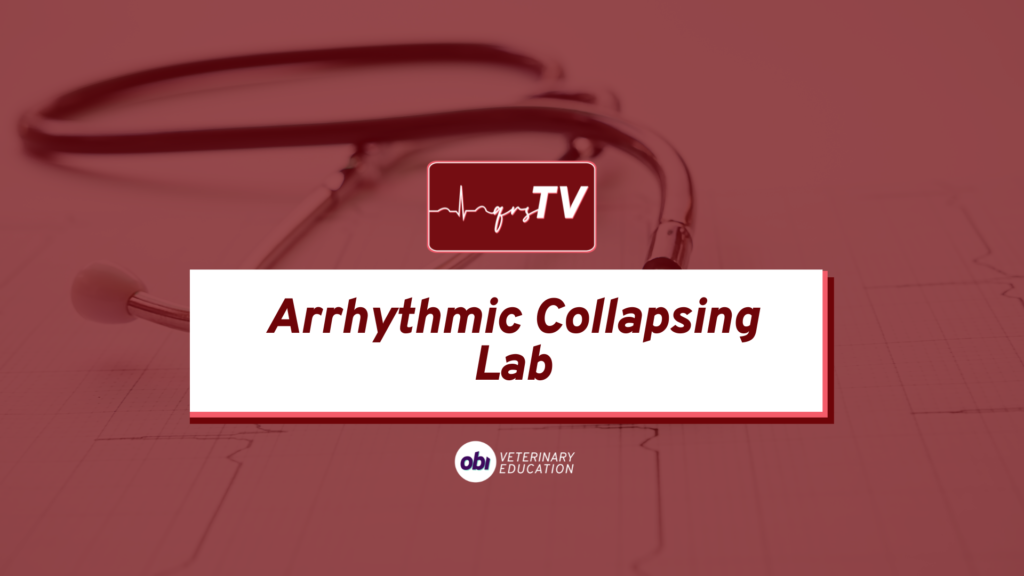 qrstv cover photo arrhythmic collapsing lab