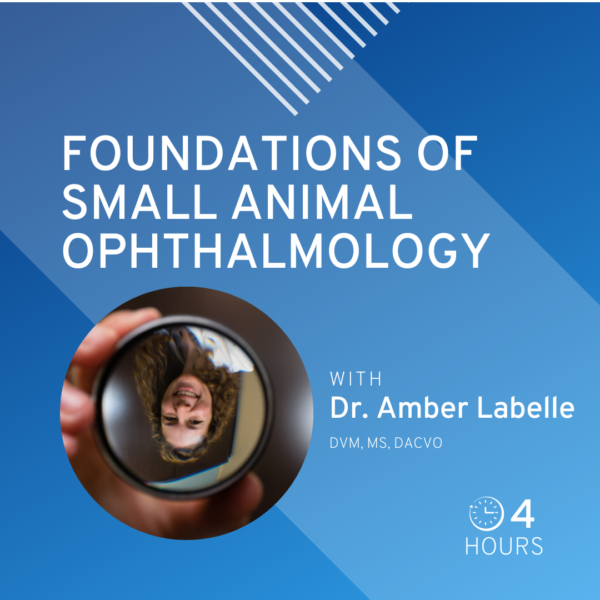 Foundations of small animal ophthalmology course photo with instructor picture and graphic