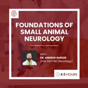 Foundations of Small Animal Neurology course photo featuring a photo of the professor, Dr. Andrew Barker.