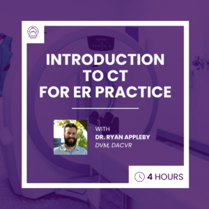 Intro to CT for ER practice course photo featuring a photo of the intstructor, Dr. Ryan Appleby