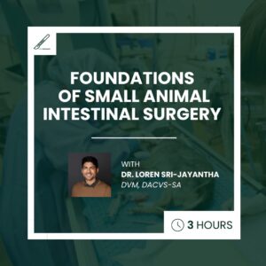 Foundations of Small Animal Intestinal Surgery